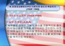 미국사회복지발달사-미구사회복지발달과 문제점 19페이지