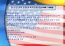 미국사회복지발달사-미구사회복지발달과 문제점 27페이지