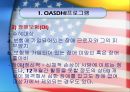 미국사회복지발달사-미구사회복지발달과 문제점 44페이지