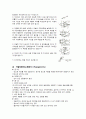 인슐린 식이교육 2페이지