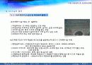 교통통제 및 교통체계관리 8페이지