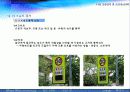 교통통제 및 교통체계관리 11페이지