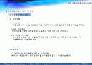 교통통제 및 교통체계관리 17페이지