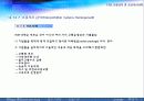 교통통제 및 교통체계관리 46페이지