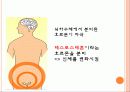 성교육(2차성징) 7페이지