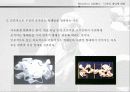 프랭크 게리 (Frank O. Gehry) 11페이지