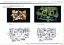 프랭크 게리 (Frank O. Gehry) 19페이지