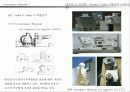 프랭크 게리 (Frank O. Gehry) 36페이지