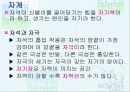 전기에너지 10페이지