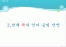 남북한언어의 통일방안 29페이지