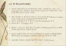향수(프랑스산) 조사 29페이지