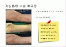 미의 기준의 변천사  24페이지