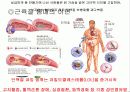 미의 기준의 변천사  25페이지