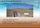 한국 축제산업의 돌파구 4페이지