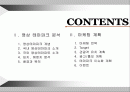 영상테마파크 분석 & 마케팅 방안 기획서 2페이지