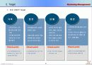 영상테마파크 분석 & 마케팅 방안 기획서 30페이지