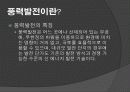 풍력발전의 원리와 종류 현황 및 효과 4페이지