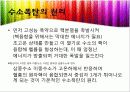 원자폭탄과 수소폭탄 15페이지