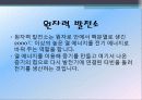 원자력에너지 3페이지