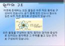 원자력에너지 5페이지