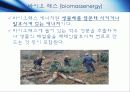 바이오매스에너지 3페이지