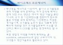 바이오매스에너지 9페이지