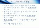 바이오매스에너지 10페이지