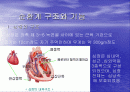 심혈관계 심장의 구조와 기능 2페이지