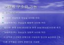 심혈관계 심장의 구조와 기능 3페이지