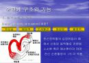 심혈관계 심장의 구조와 기능 4페이지