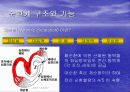 심혈관계 심장의 구조와 기능 5페이지
