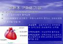 심혈관계 심장의 구조와 기능 6페이지