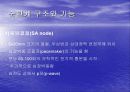 심혈관계 심장의 구조와 기능 8페이지