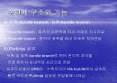 심혈관계 심장의 구조와 기능 11페이지