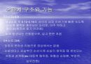 심혈관계 심장의 구조와 기능 14페이지