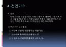 화석연료자원 및 화석에너지 14페이지