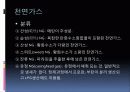 화석연료자원 및 화석에너지 15페이지