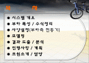 BLDC모터 설계(matlab 시뮬링크) 2페이지