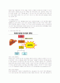알코올이 간에 미치는 영향 - 교육자료 2페이지