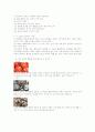 알코올이 간에 미치는 영향 - 교육자료 5페이지