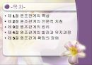 사회복지실천의 원조관계-케이스워크 관계 2페이지