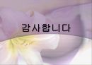 사회복지실천의 원조관계-케이스워크 관계 25페이지