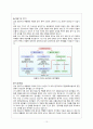 케이스 스터디 ) 급성 림프구성 백혈병 10페이지