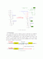 RNA processing 2페이지