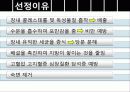 차전자피의 효능 및 제조기준과 규격 특징 군내외 제품 현황 4페이지