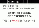차전자피의 효능 및 제조기준과 규격 특징 군내외 제품 현황 5페이지