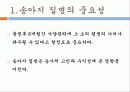 송아지 질병과 해결방안 3페이지