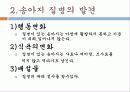 송아지 질병과 해결방안 4페이지