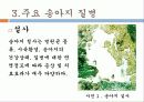 송아지 질병과 해결방안 5페이지