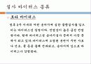송아지 질병과 해결방안 9페이지